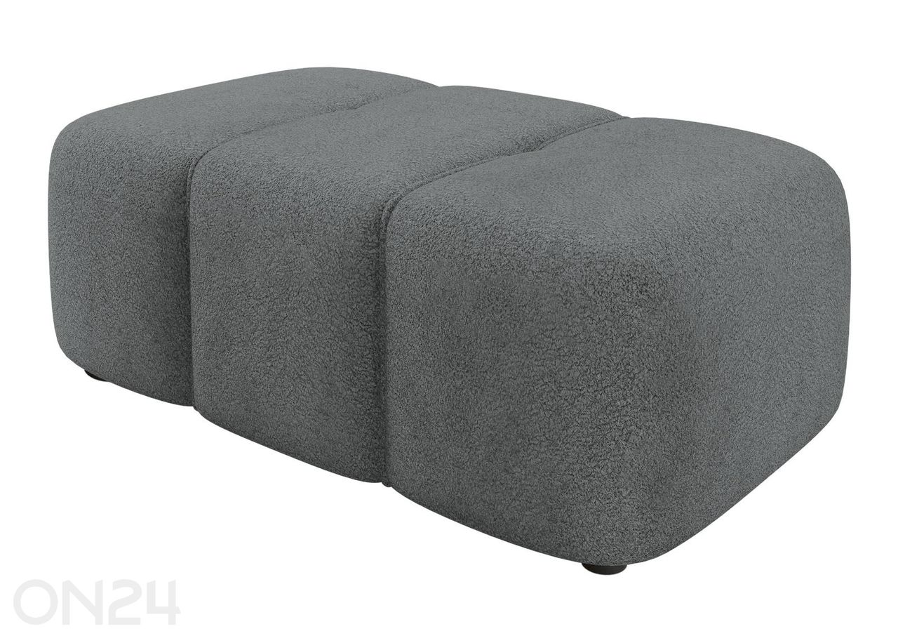 Rahi Furyn kuvasuurennos