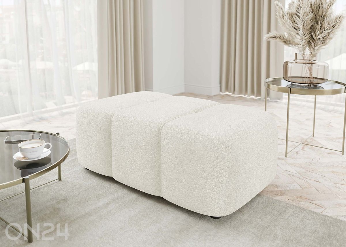 Rahi Furyn kuvasuurennos