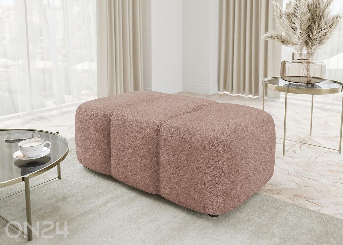 Rahi Furyn kuvasuurennos