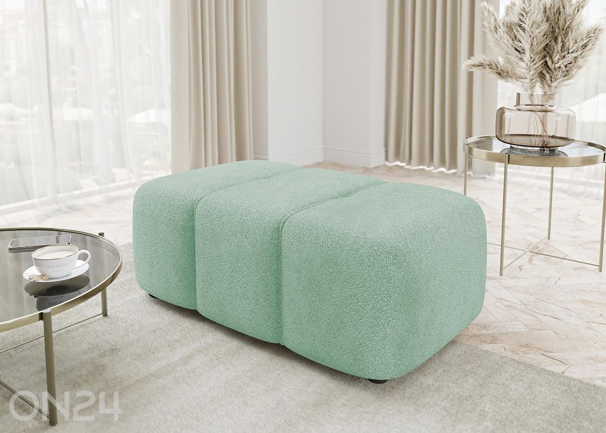 Rahi Furyn kuvasuurennos