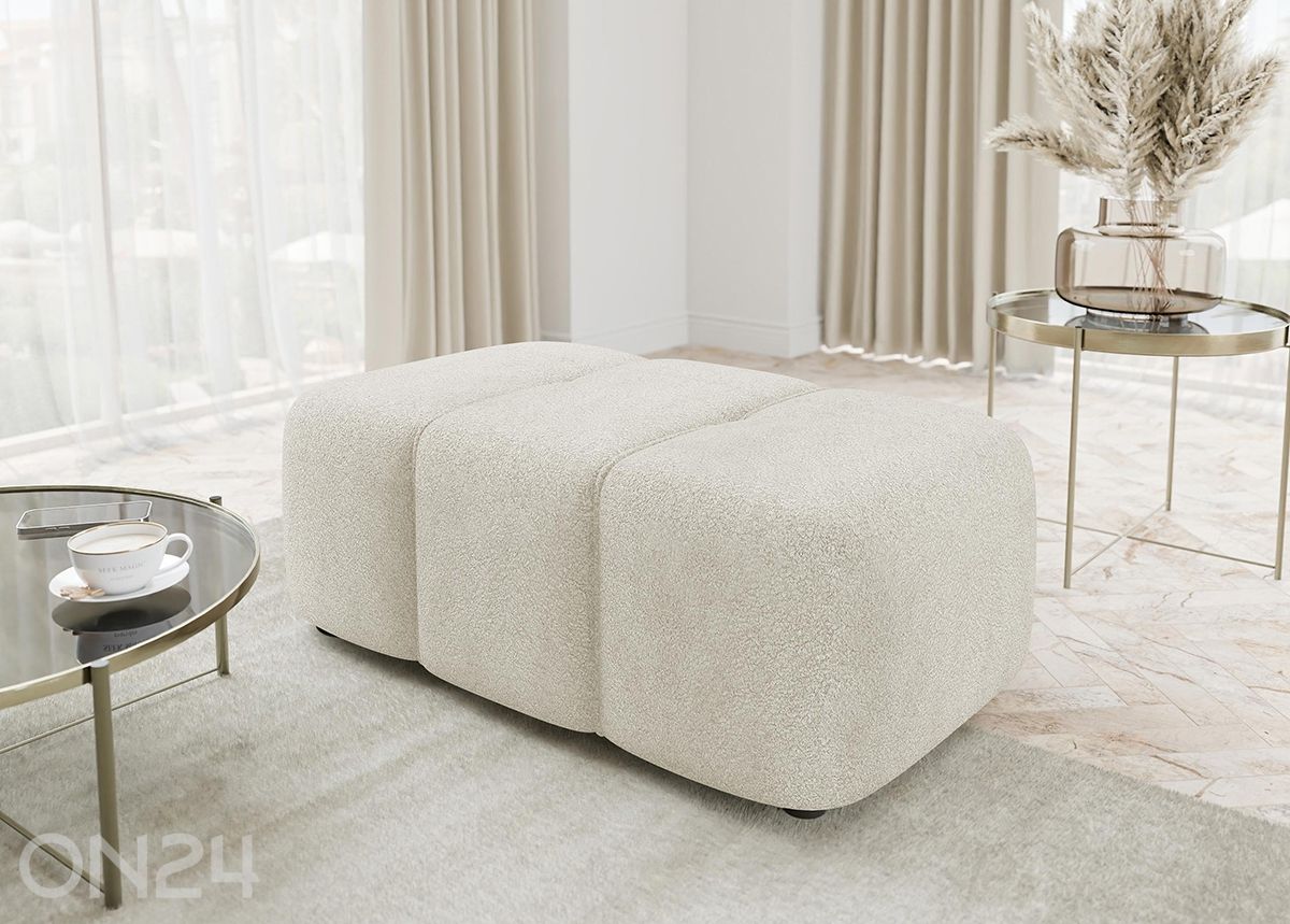 Rahi Furyn kuvasuurennos