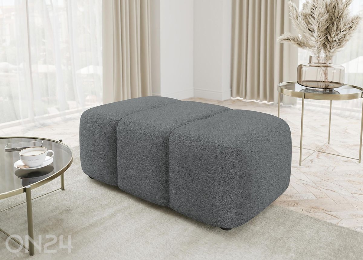 Rahi Furyn kuvasuurennos