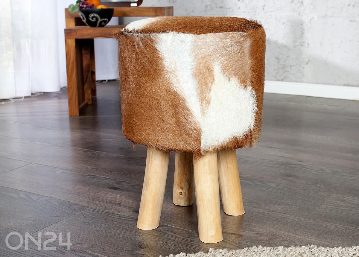 Rahi Hide kuvasuurennos