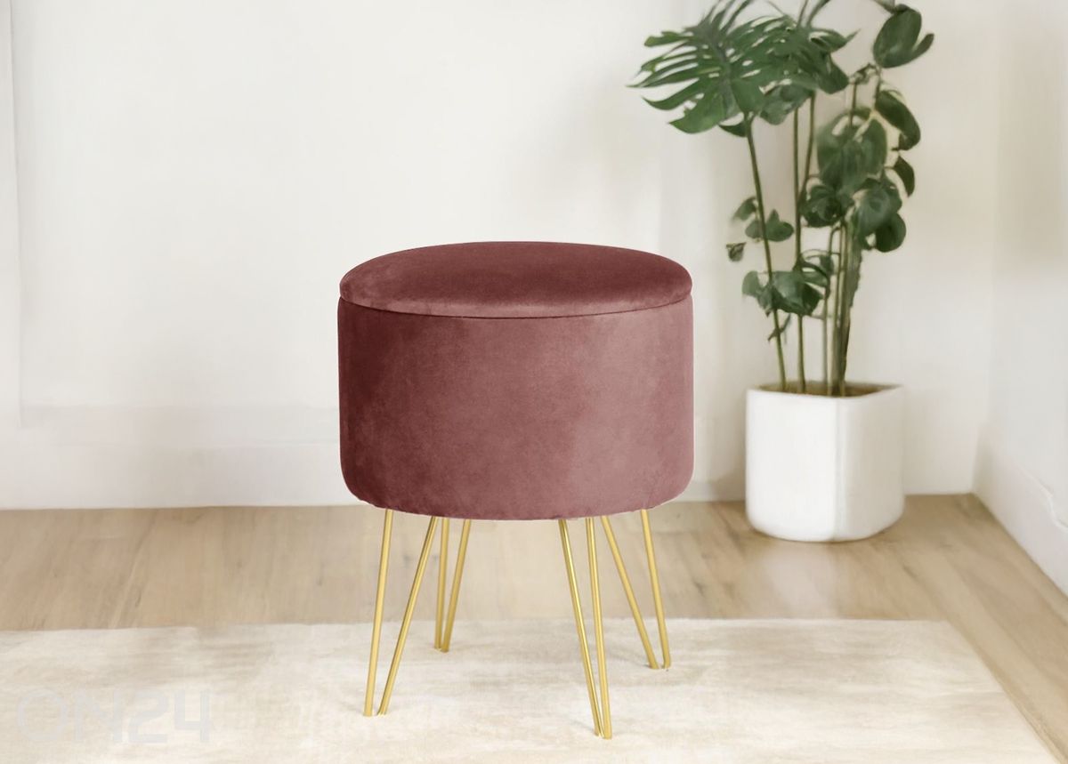 Rahi Lili kuvasuurennos