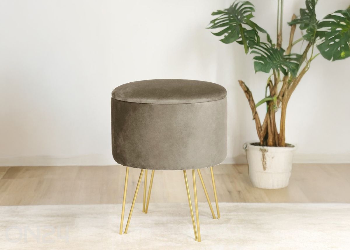 Rahi Lili kuvasuurennos