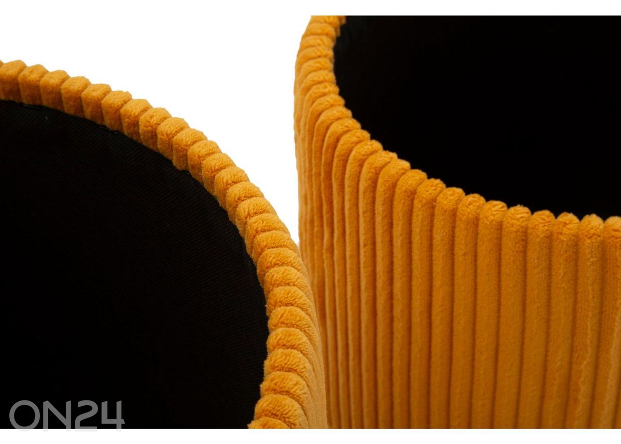 Rahi säilytystilalla 2 kpl kuvasuurennos