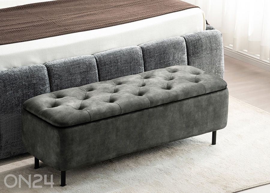 Rahi säilytystilalla En Vogue kuvasuurennos