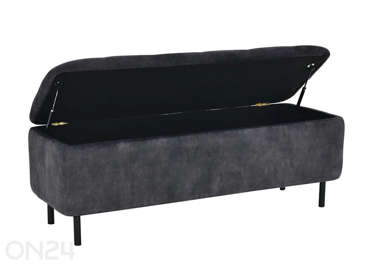 Rahi säilytystilalla En Vogue kuvasuurennos