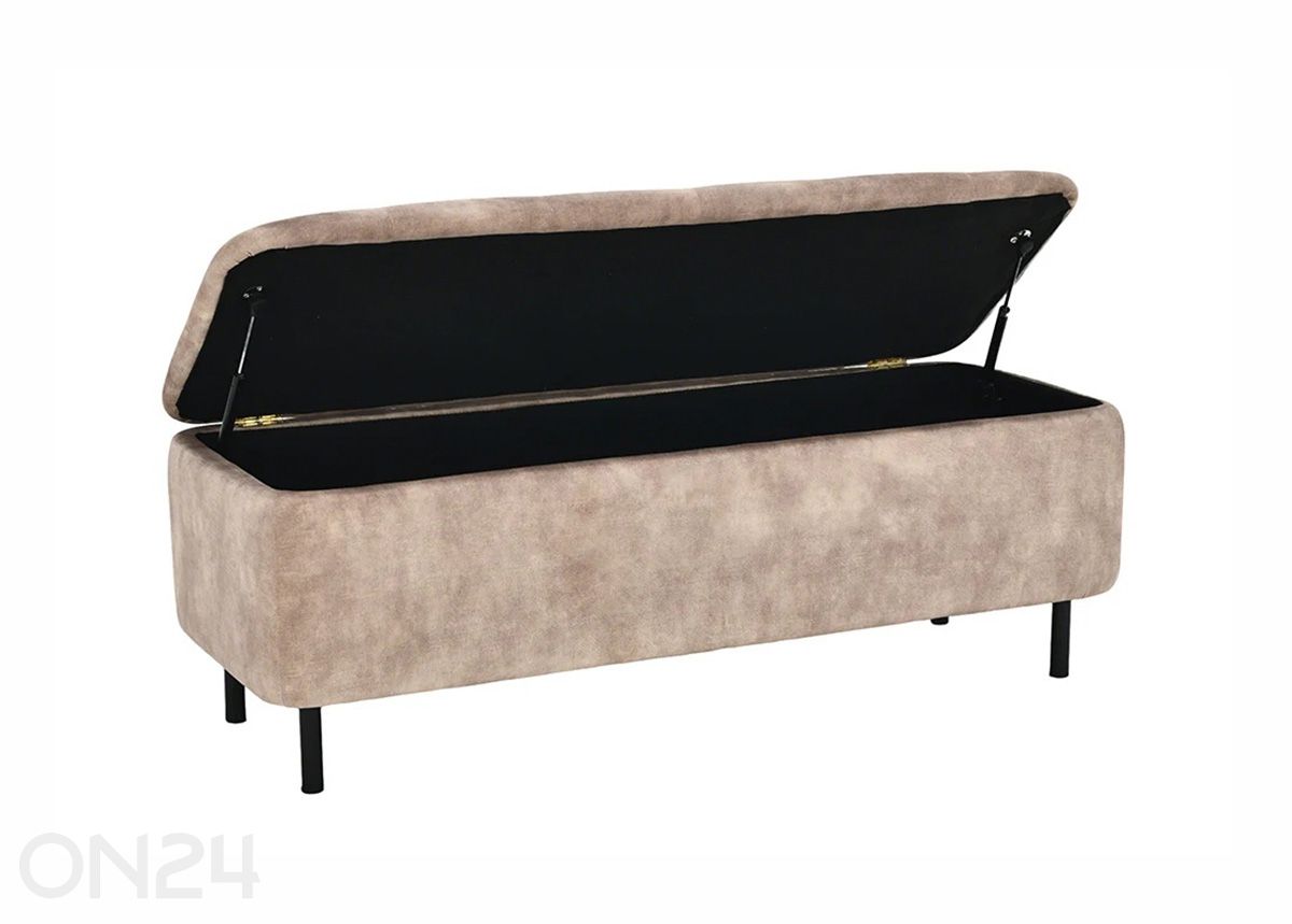 Rahi säilytystilalla En Vogue kuvasuurennos