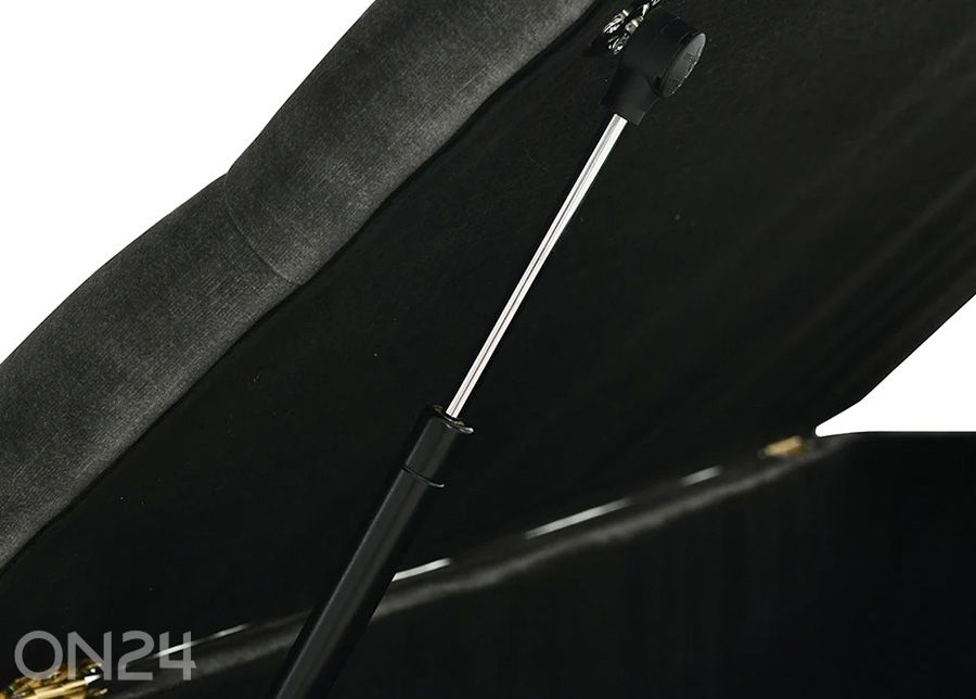 Rahi säilytystilalla En Vogue kuvasuurennos