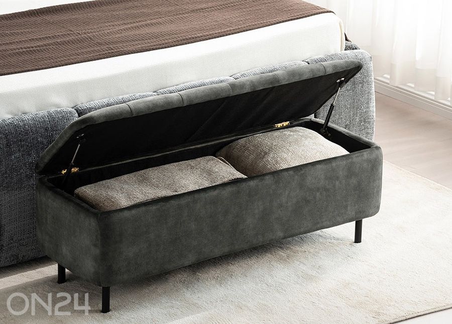 Rahi säilytystilalla En Vogue kuvasuurennos