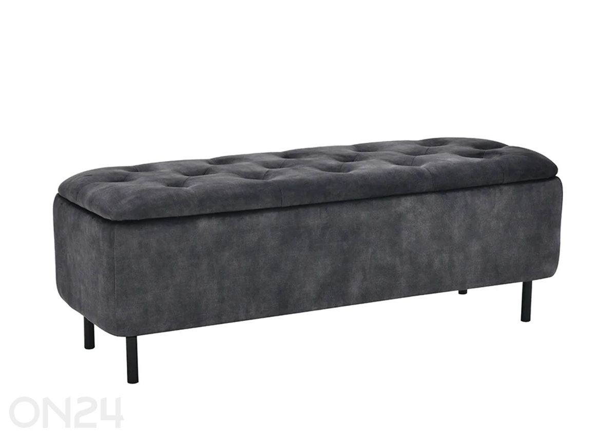 Rahi säilytystilalla En Vogue kuvasuurennos