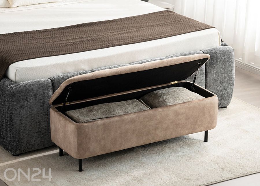 Rahi säilytystilalla En Vogue kuvasuurennos