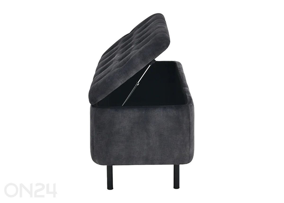 Rahi säilytystilalla En Vogue kuvasuurennos