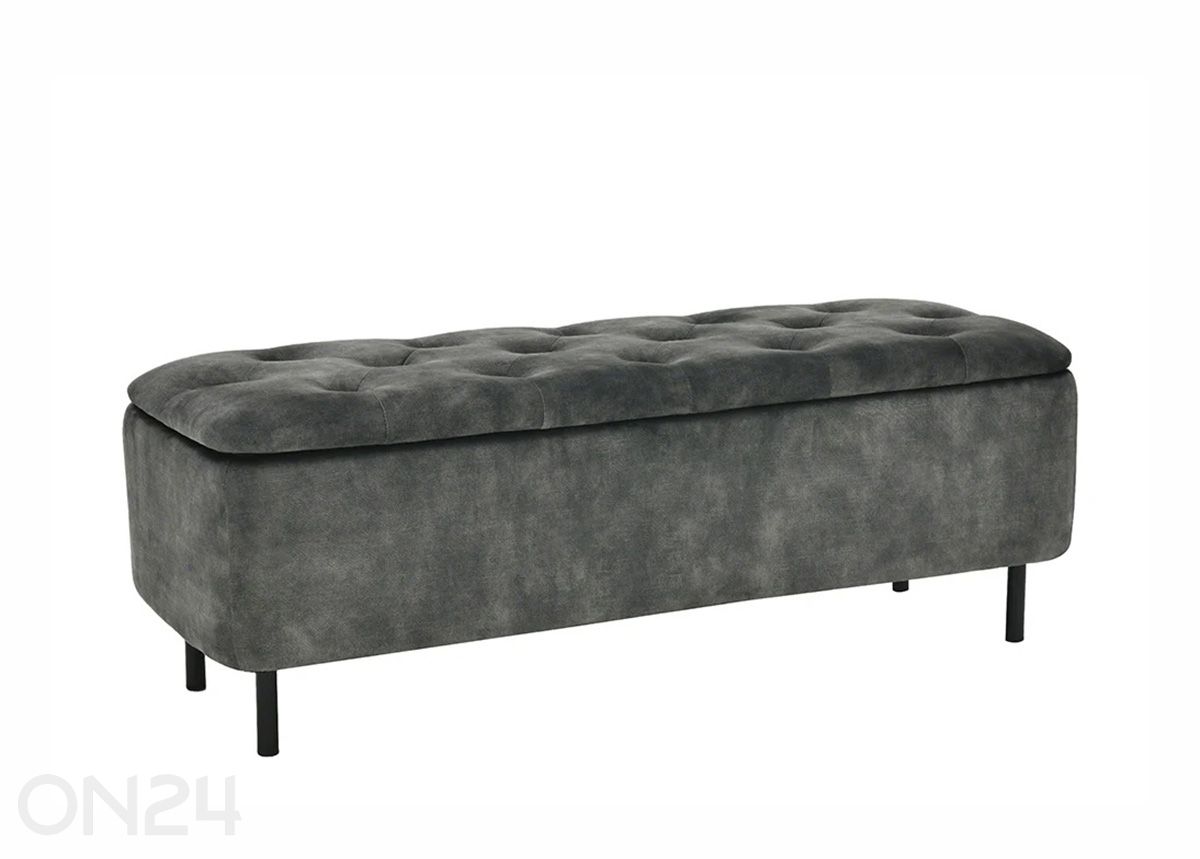 Rahi säilytystilalla En Vogue kuvasuurennos