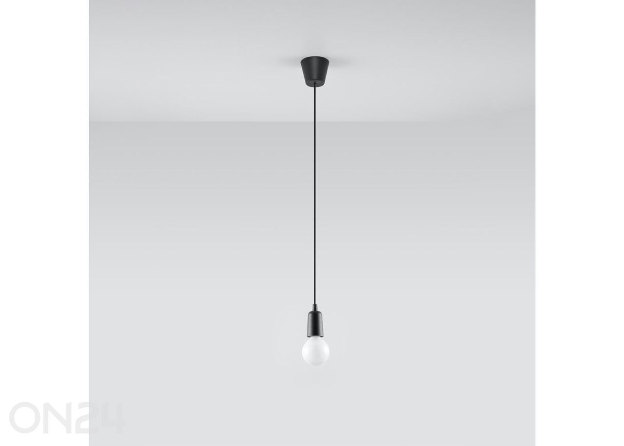 Riippuvalaisin Diego 1 kuvasuurennos