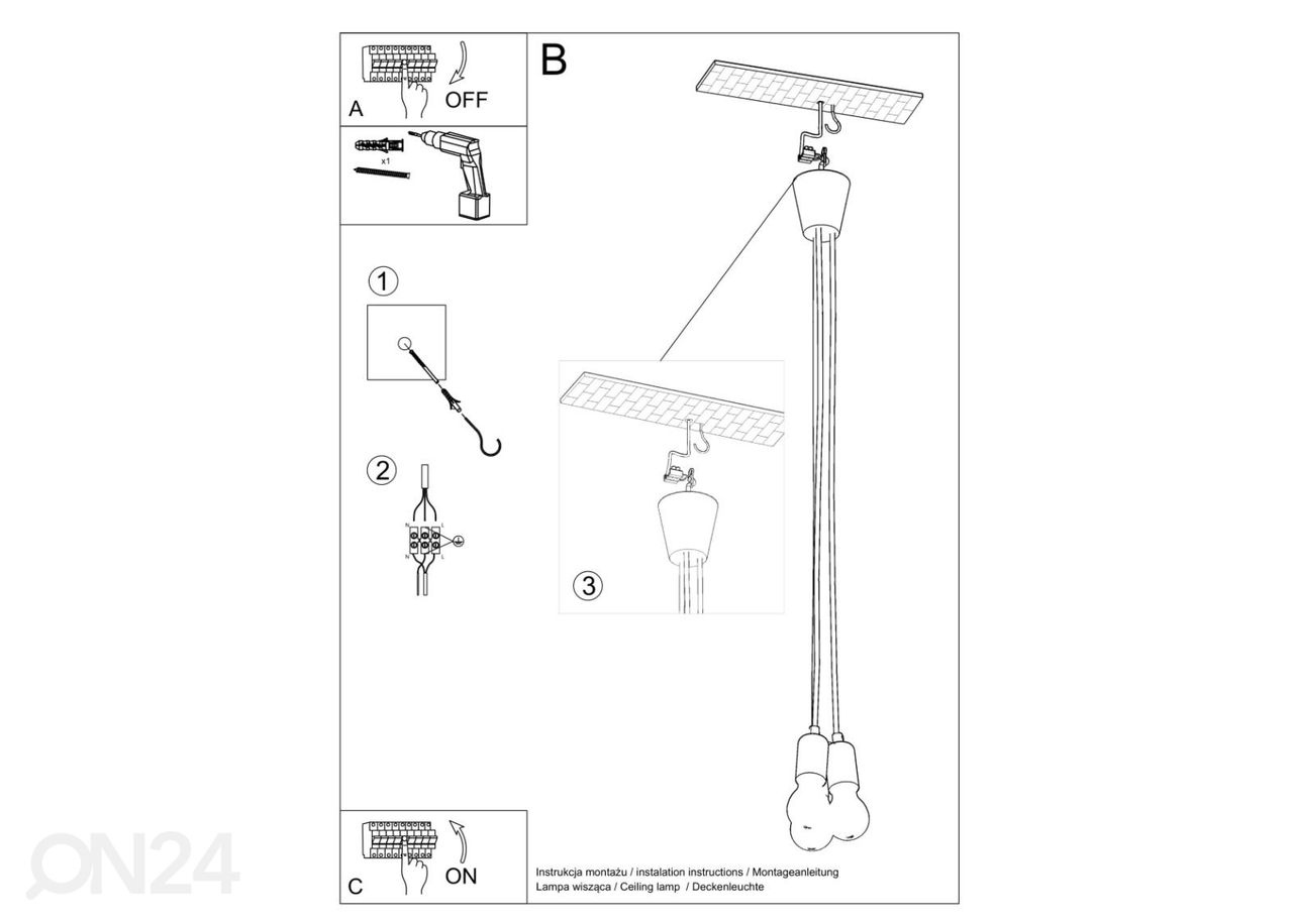 Riippuvalaisin Diego 3 kuvasuurennos