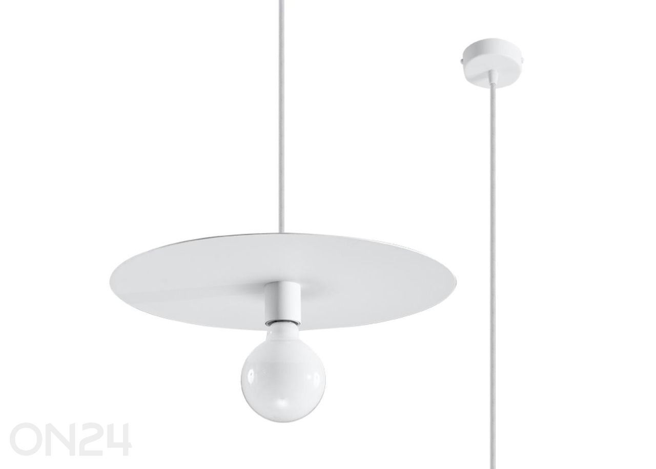 Riippuvalaisin Flavio kuvasuurennos