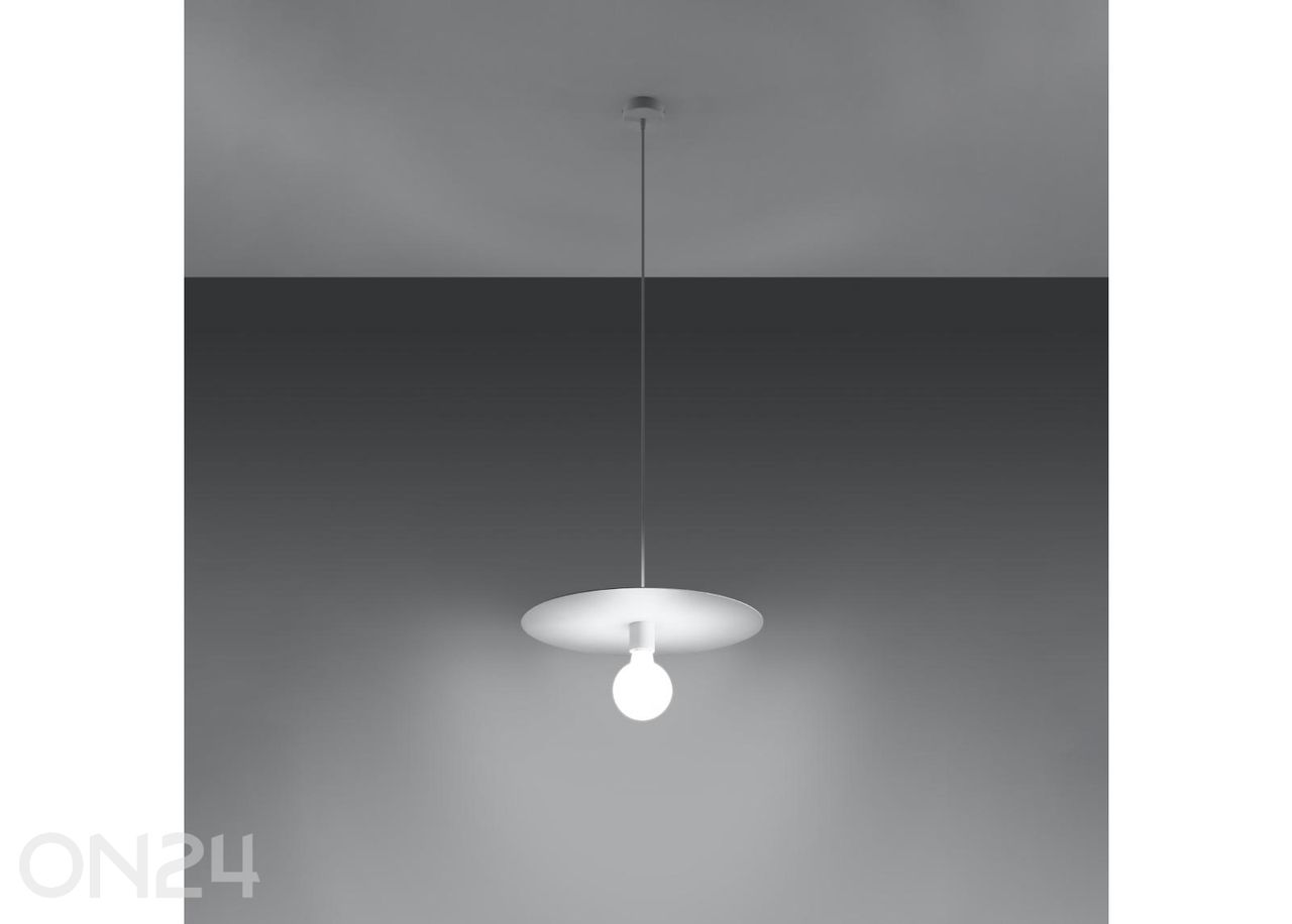 Riippuvalaisin Flavio kuvasuurennos