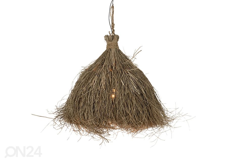 Riippuvalaisin Papua kuvasuurennos