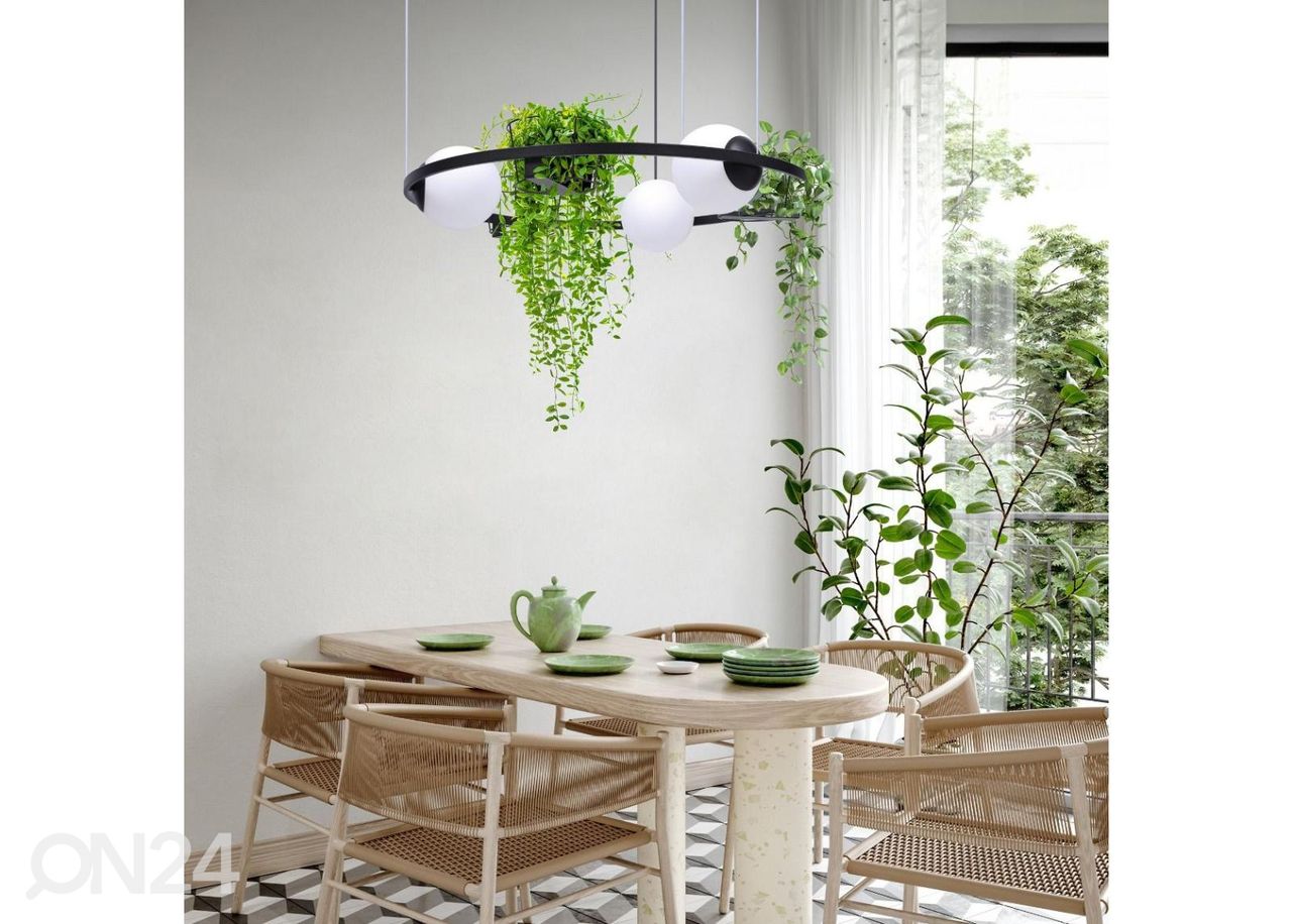 Riippuvalaisin Plant 3 kuvasuurennos