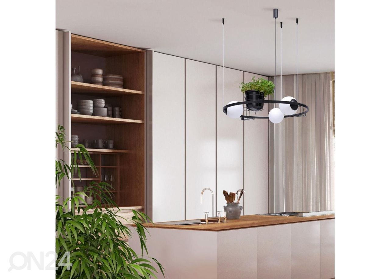 Riippuvalaisin Plant 3 kuvasuurennos