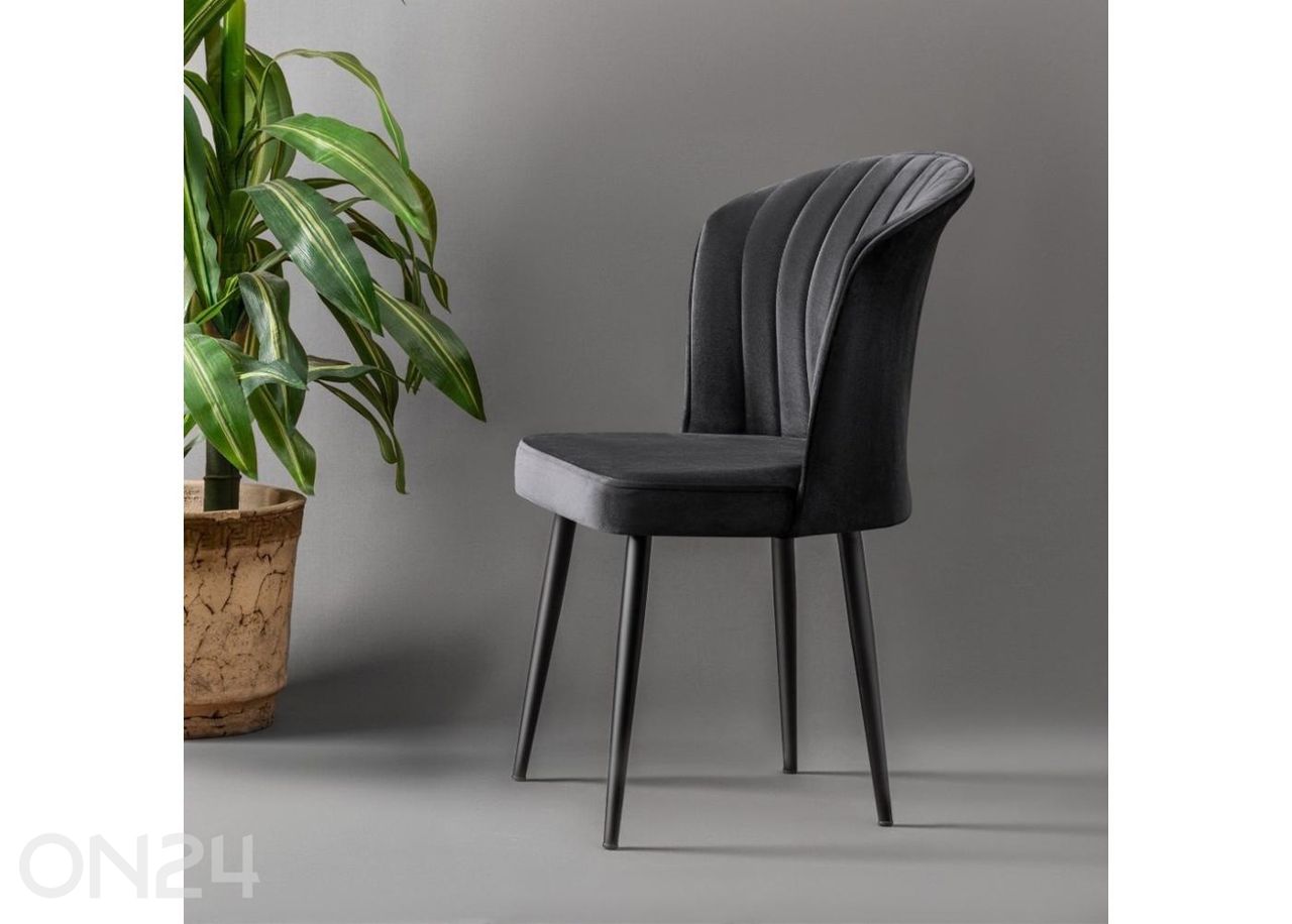 Ruokatuoli Rubi, 4 kpl kuvasuurennos