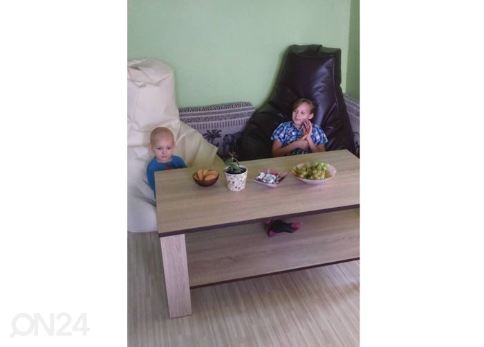 Säkkituoli 300 L kuvasuurennos