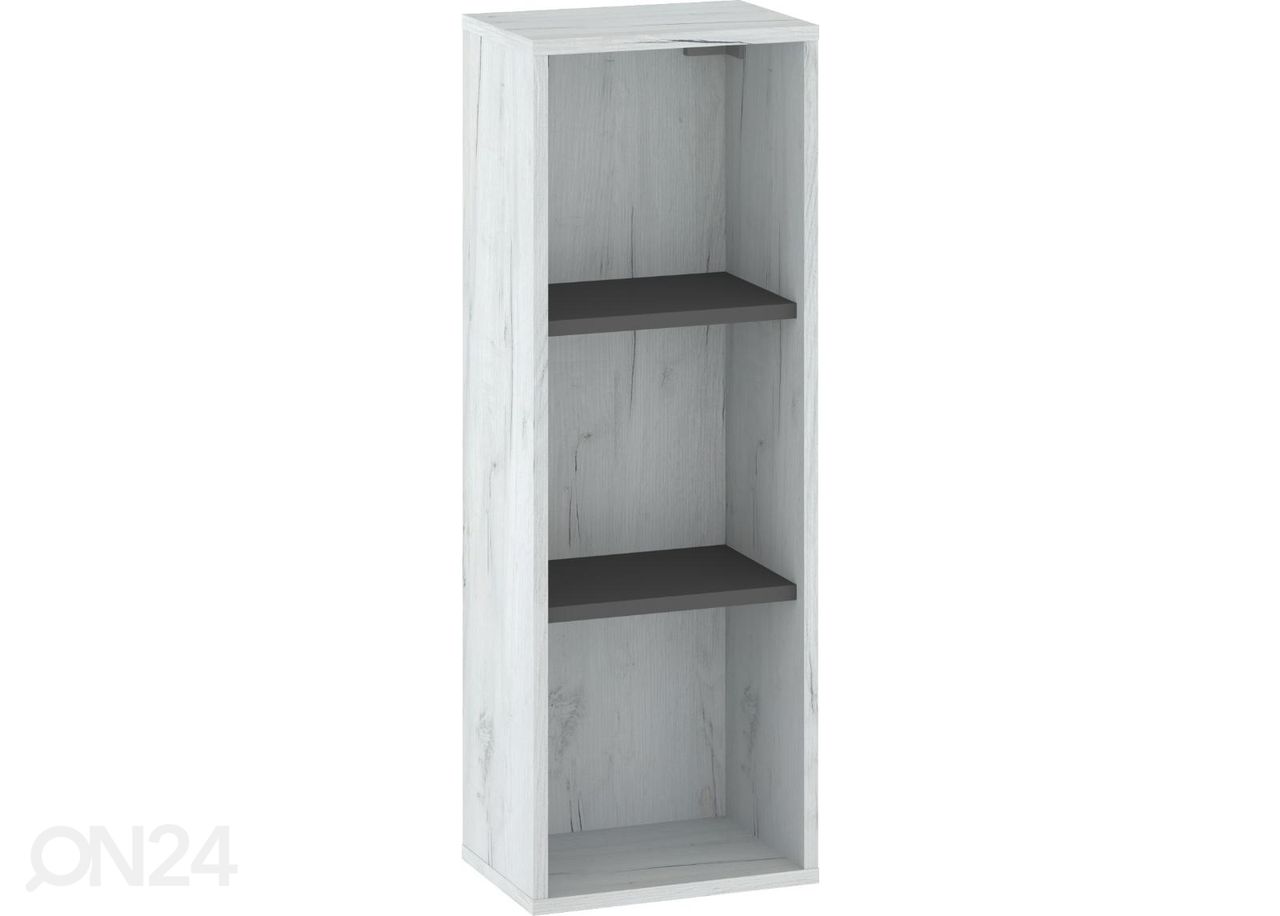 Seinähylly Bos1 kuvasuurennos