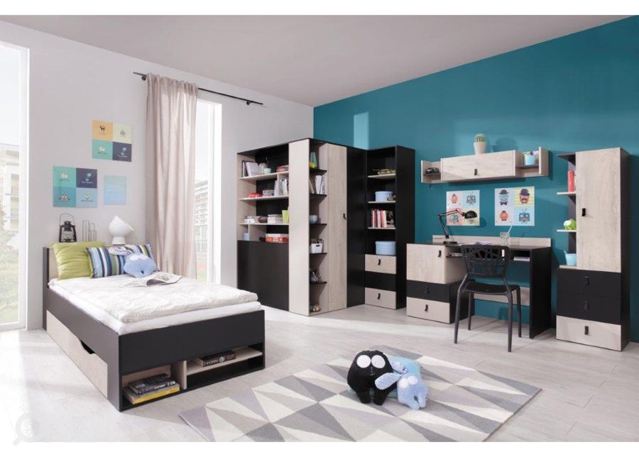 Seinähylly PL12 kuvasuurennos
