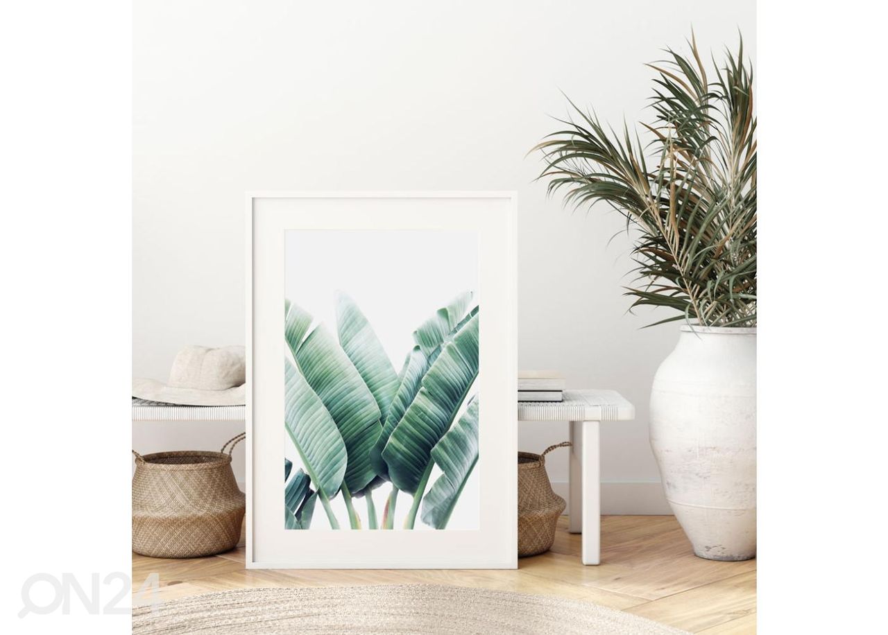 Seinäjuliste Banaanipuun lehdet 21x30 cm kuvasuurennos