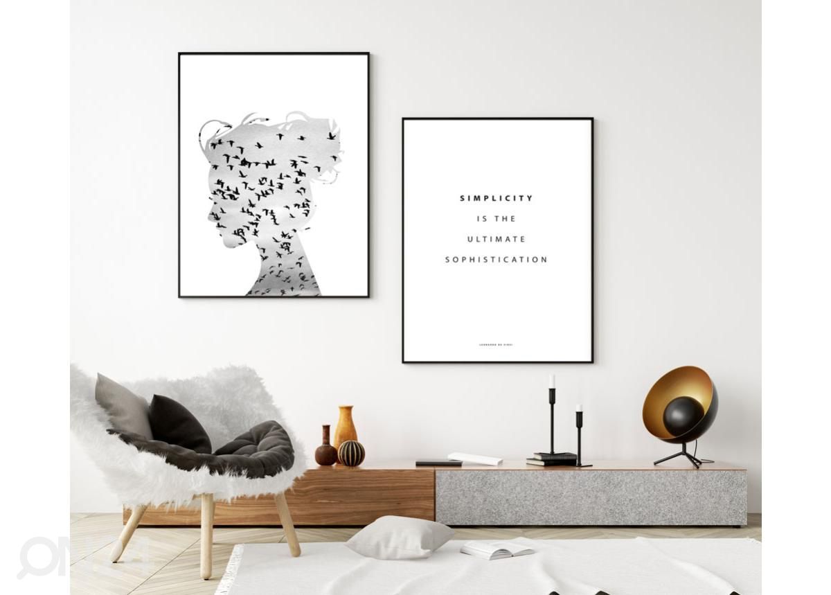 Seinäjuliste Linnut 21x30 cm kuvasuurennos