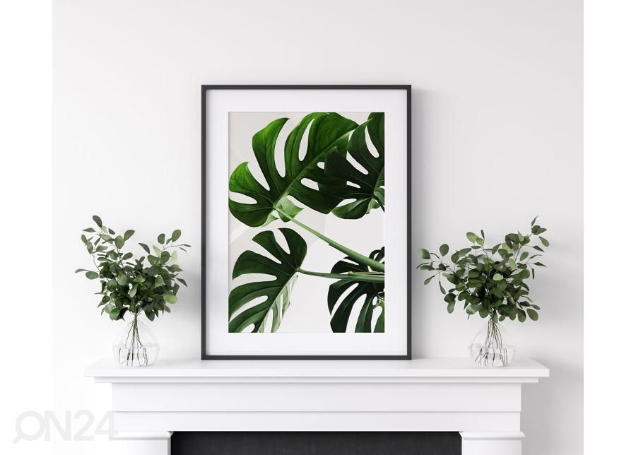 Seinäjuliste Monstera 21x30 cm kuvasuurennos
