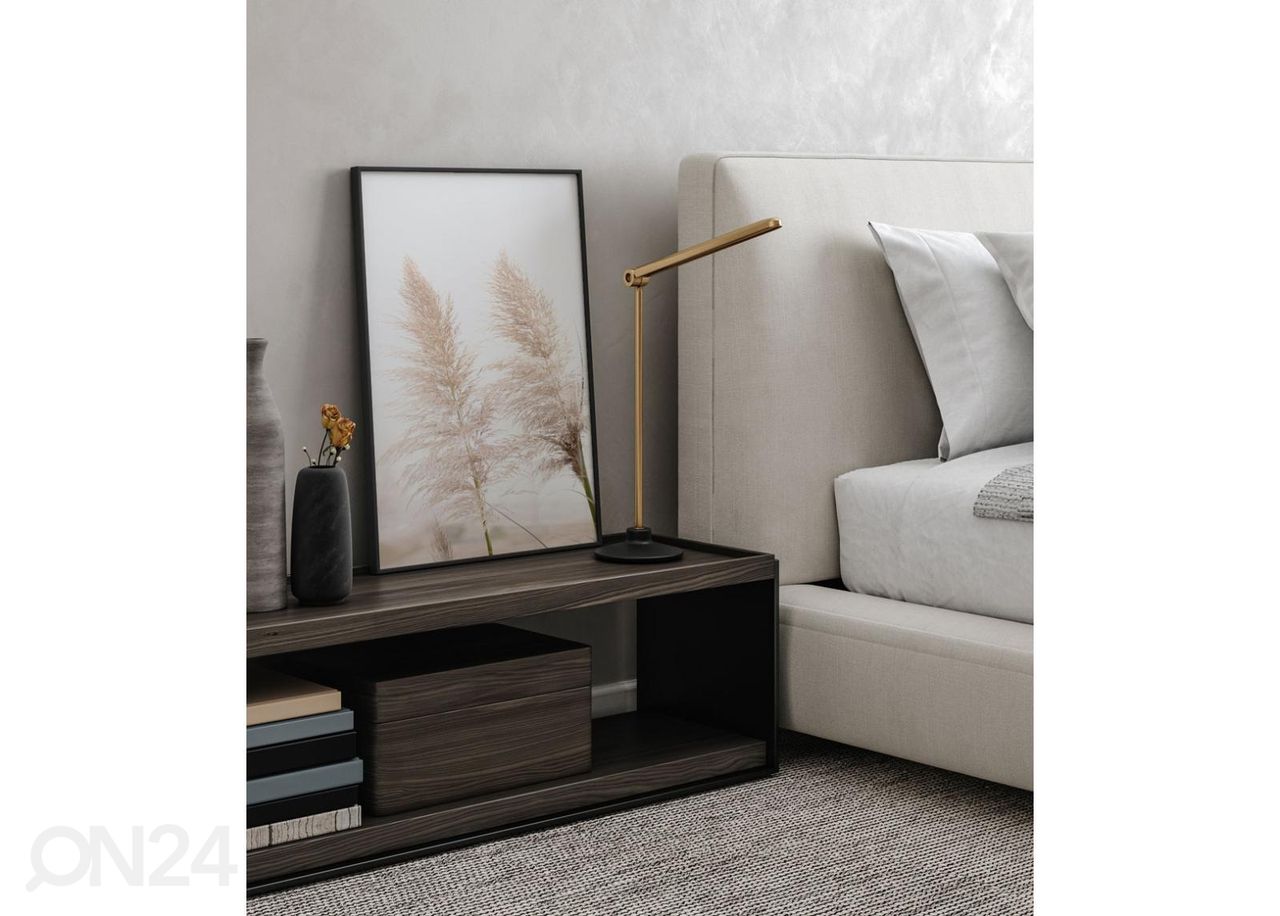 Seinäjuliste Pampas lehdet 21x30 cm kuvasuurennos