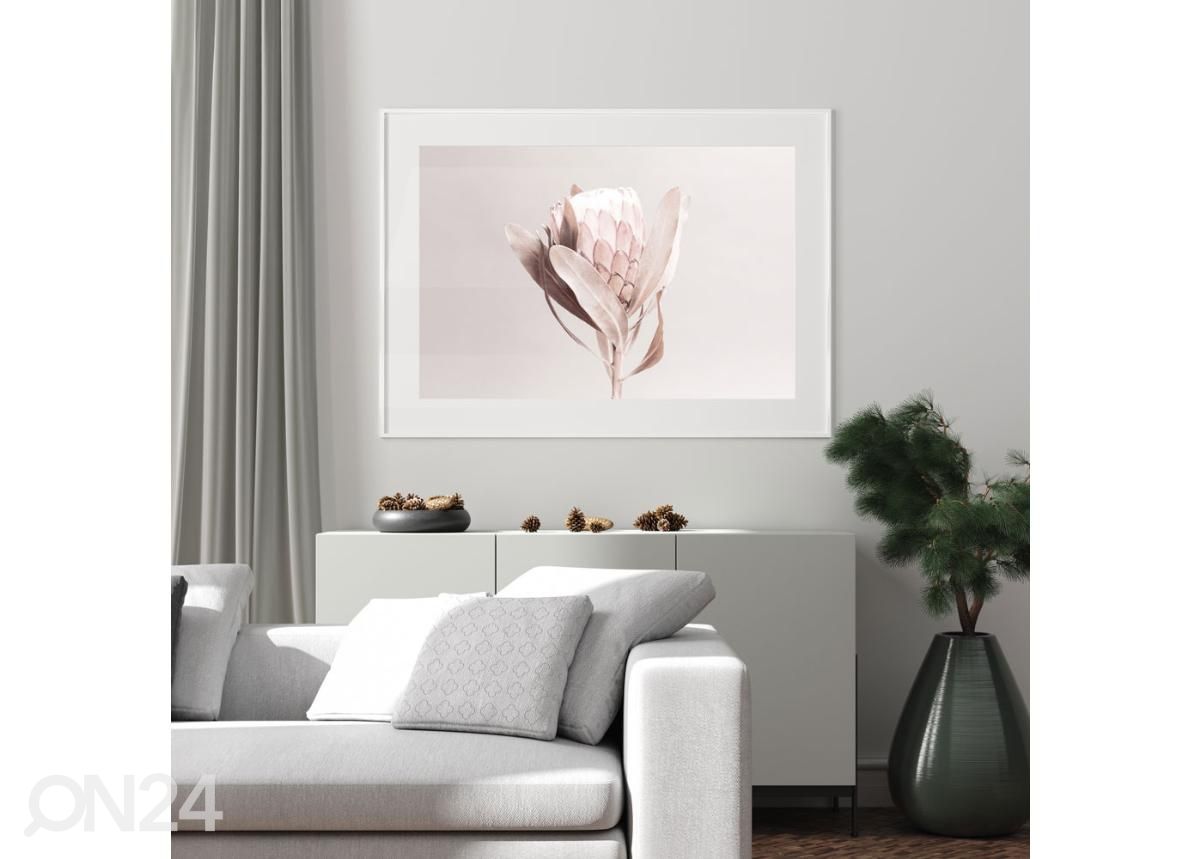 Seinäjuliste Protea 21x30 cm kuvasuurennos