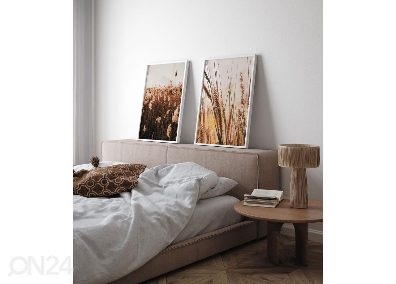 Seinäjuliste Ruoho auringonlaskun aikaan II 21x30 cm kuvasuurennos