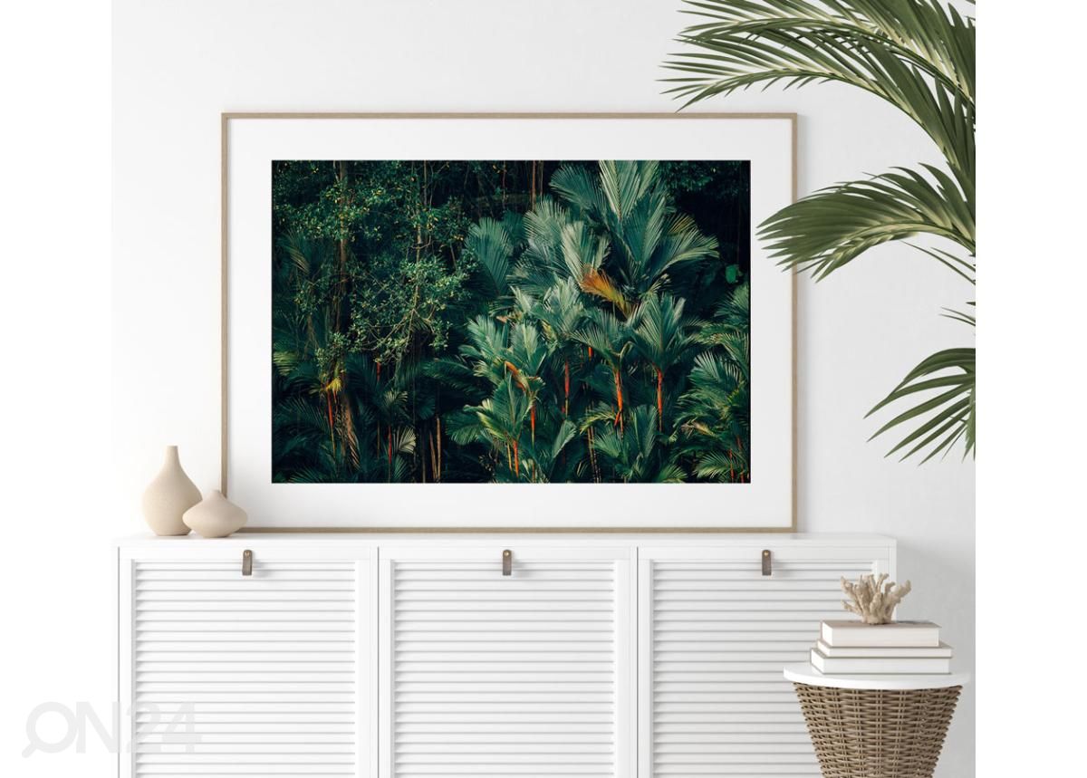 Seinäjuliste Trooppinen sademetsä 50x70 cm kuvasuurennos