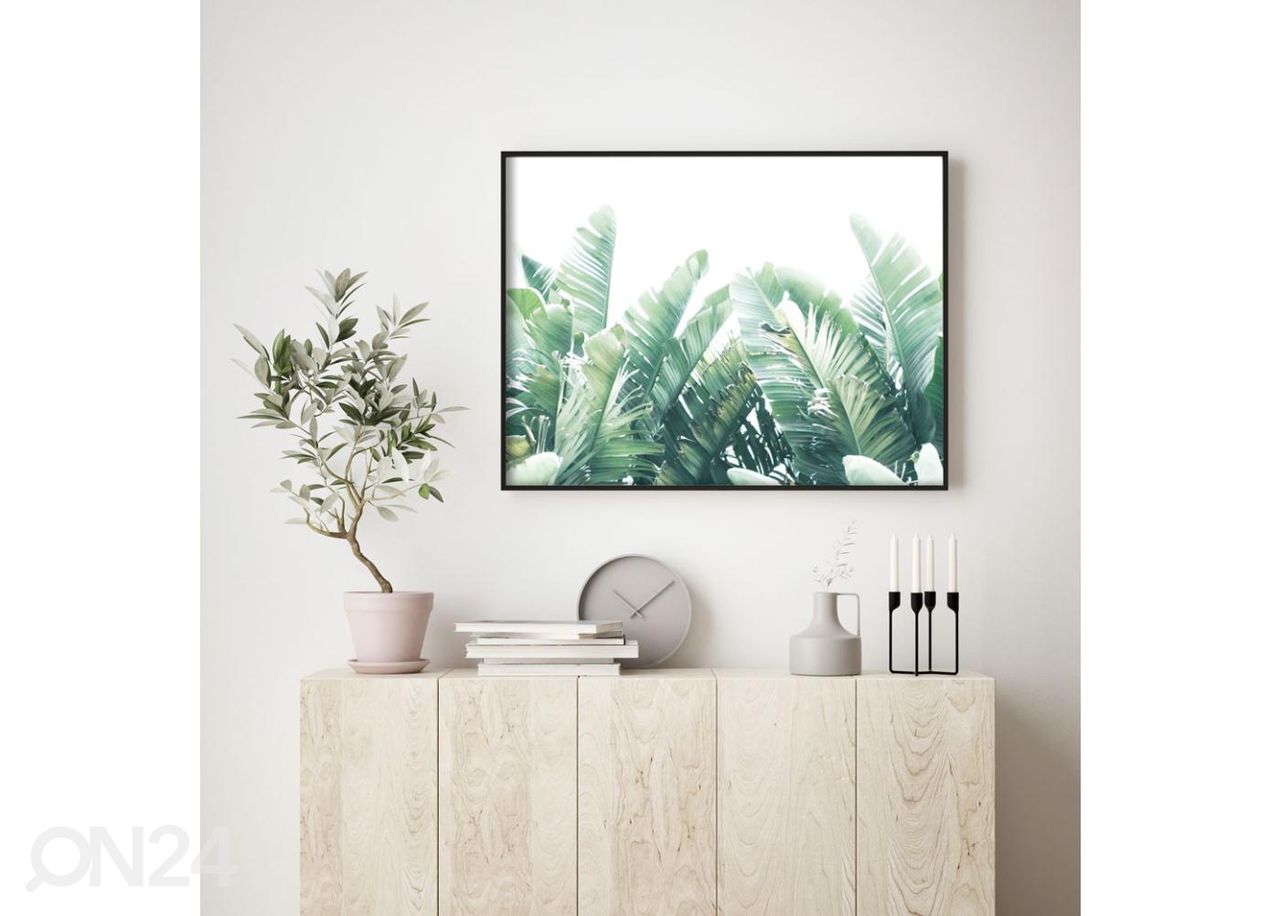 Seinäjuliste Trooppiset lehdet 21x30 cm kuvasuurennos