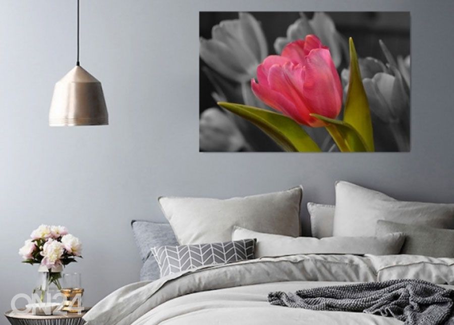 Taulu Red tulip 50x70 cm kuvasuurennos