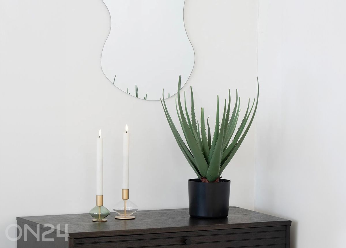 Tekokasvi Aloe Vera 1 kpl kuvasuurennos