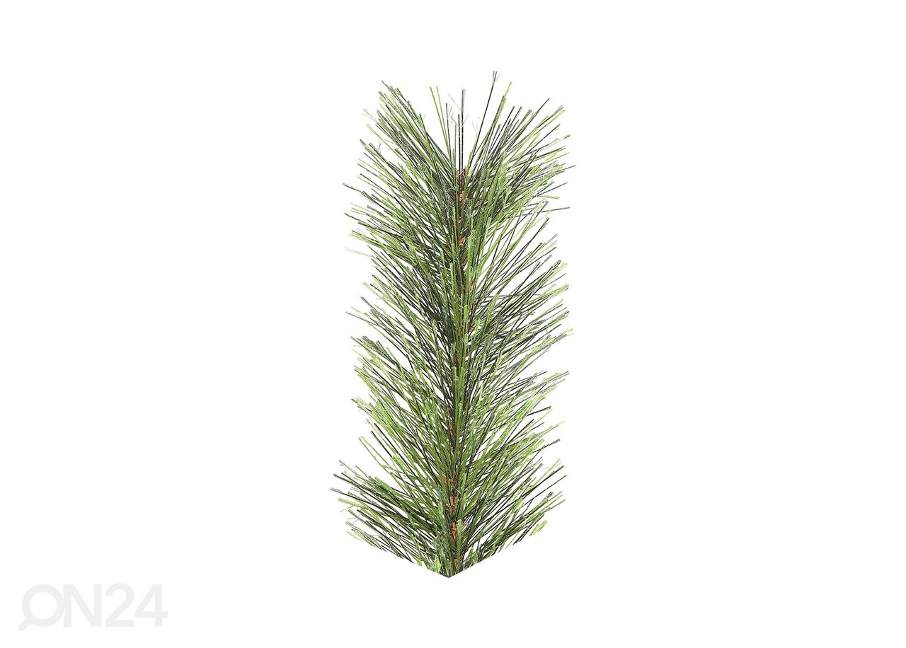 Tekokuusi Cembrini kuvasuurennos