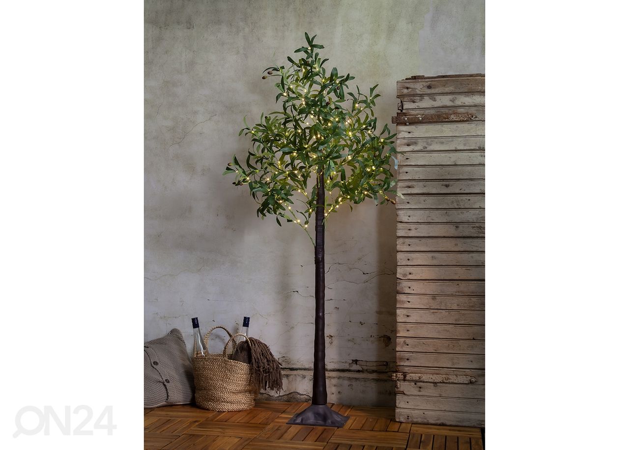 Tekopuu Olivec 180 cm kuvasuurennos