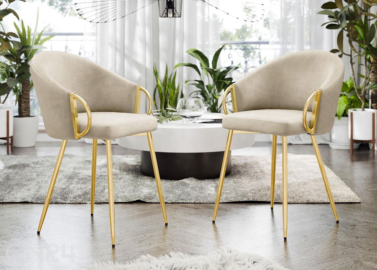 Tuolit Muz, 2 kpl kuvasuurennos