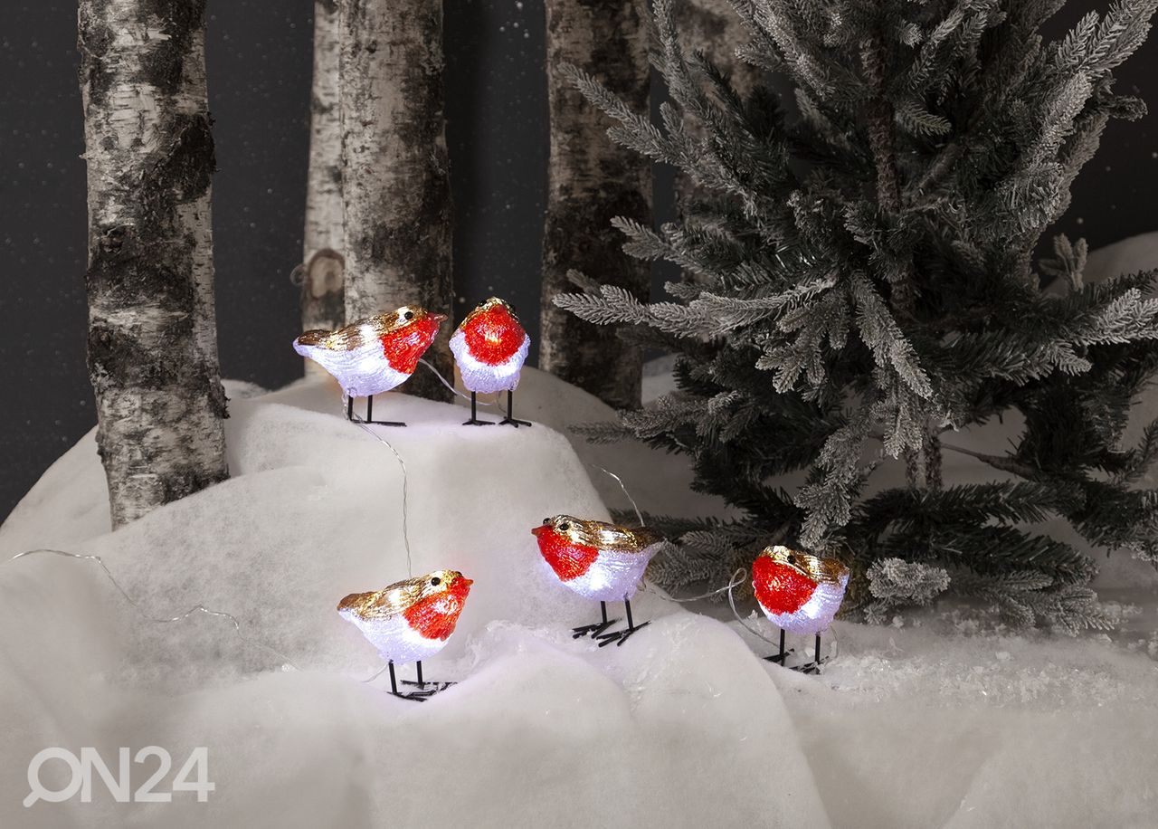 Valosarja Crystalo kuvasuurennos