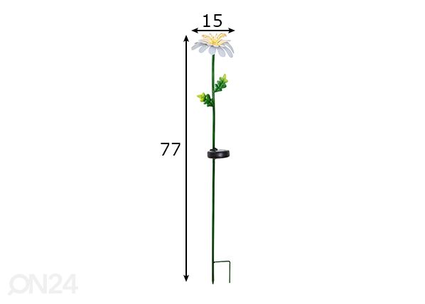 Aurinkokennovalaisin Daisy mitat