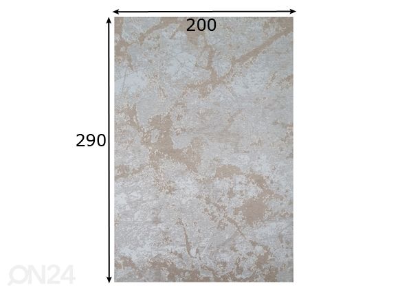 Easy Care matto Carissa vaaleanharmaa 200x290 cm mitat