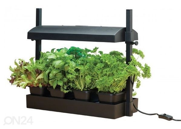 Esikasvatuslaatikko valaistuksella Micro Grow Light Garden 11 W, musta