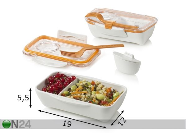 Eväsrasia BENTO mitat