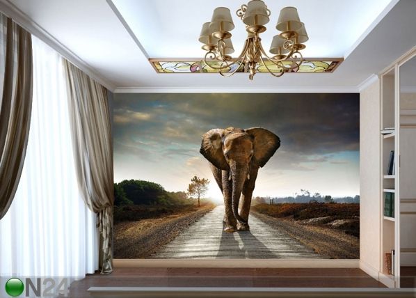 Fleece-kuvatapetti BIG ELEPHANT 360x270 cm