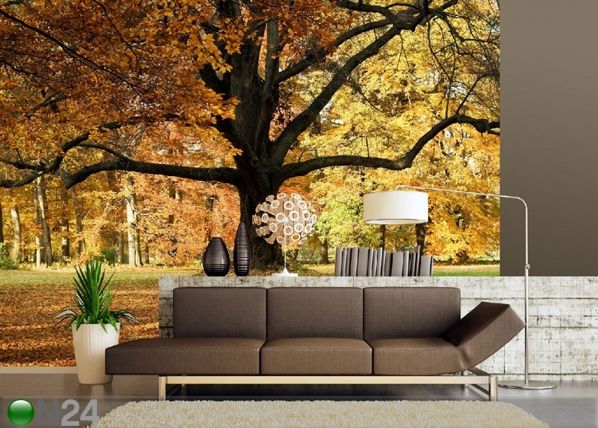 Fleece kuvatapetti OAK TREE 360x170 cm
